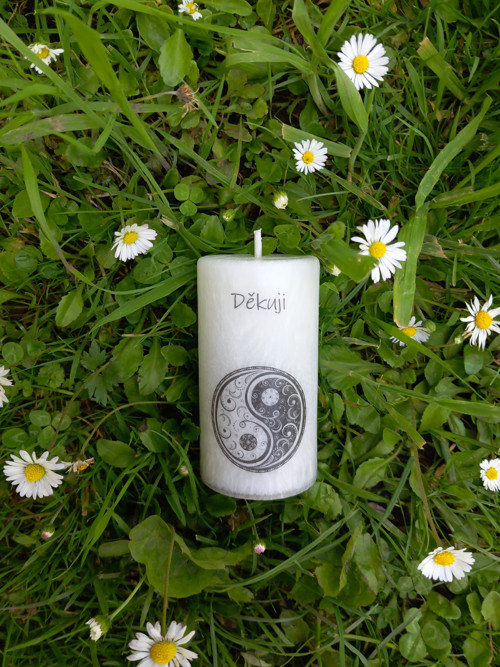 Strom života či srdíčko ? — foto 4