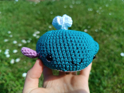 Velryba Gwendolyn — foto 3