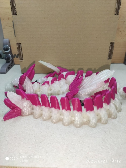 Axolotí drak — foto 2