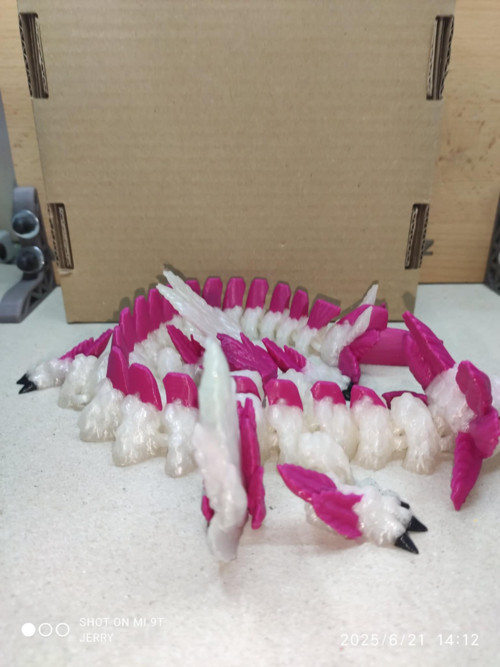Axolotí drak — foto 3