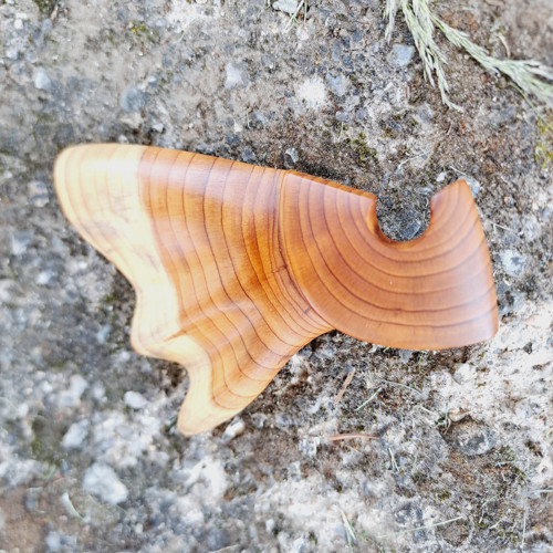 Brož Vlna — foto 3