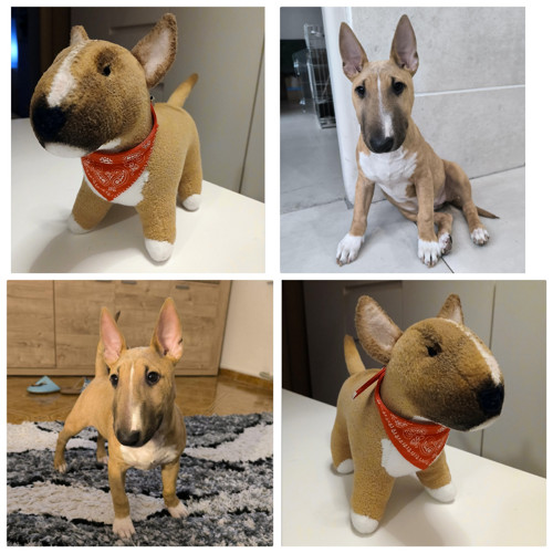 Mini bulík — foto 2