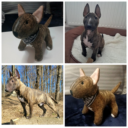 Mini bulík — foto 3