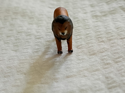 Lev — foto 2