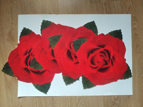 Prostírání - růže — foto 4