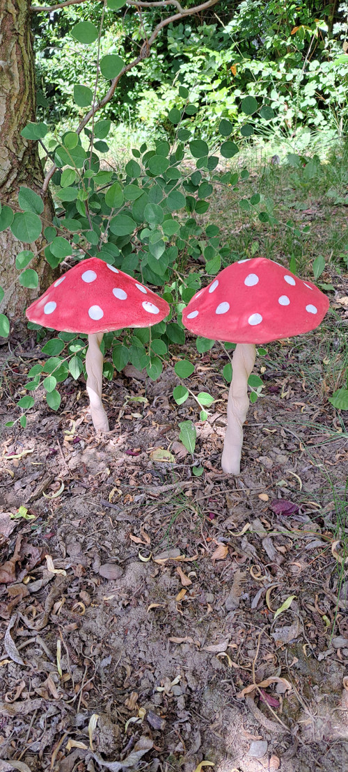 Muchomůrka 12cm průměr kloboučku — foto 4