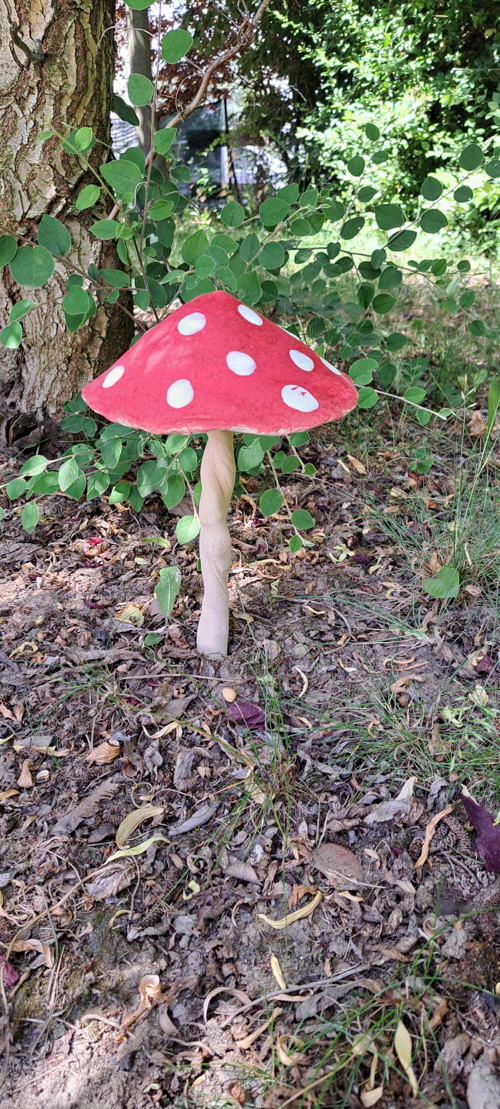 Muchomůrka 12cm průměr kloboučku — foto 2
