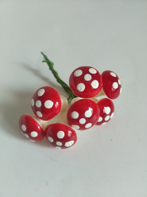 Muchomůrka - menší — foto 4