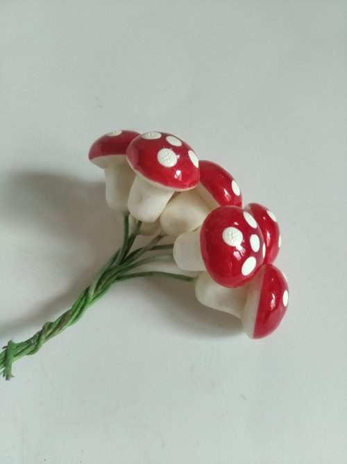 Muchomůrka - menší — foto 3