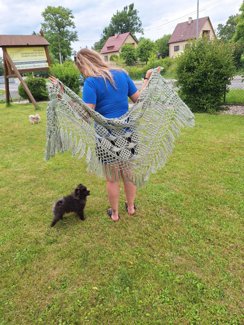 Šalvějka + — foto 3