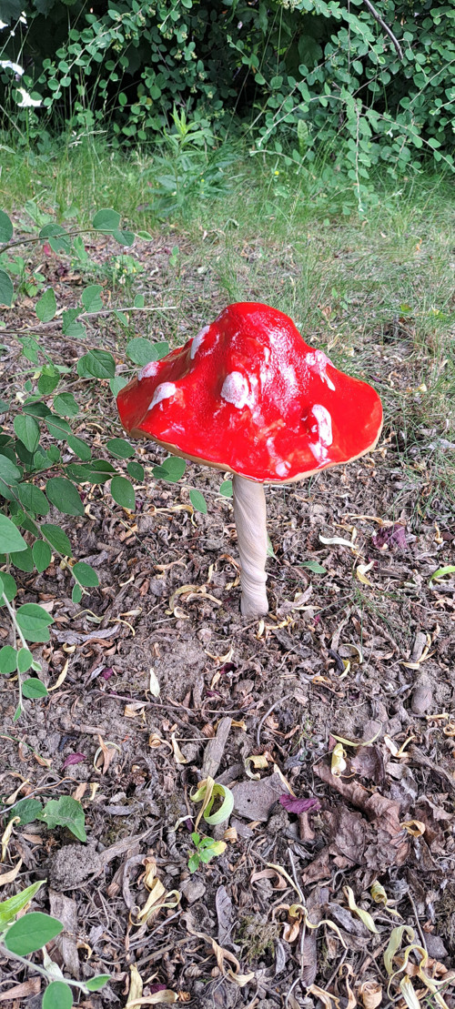 Muchomůrka MEGA2-průměr kloboučku 16cm — foto 3