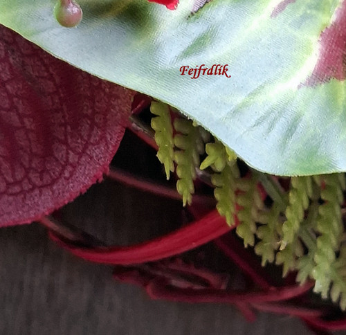 Když zčervená.. — foto 4
