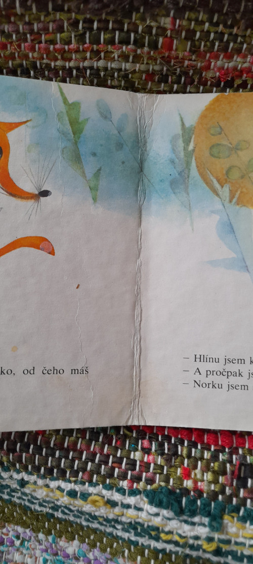 Liška a myška — foto 5