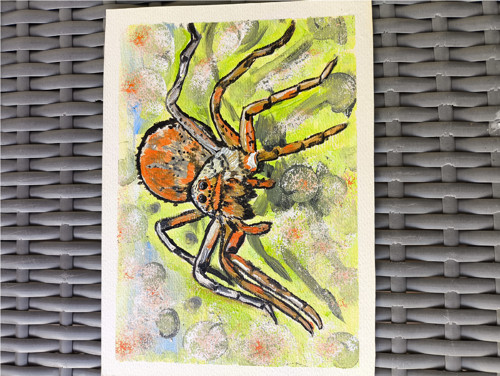 Tarantula — foto 3