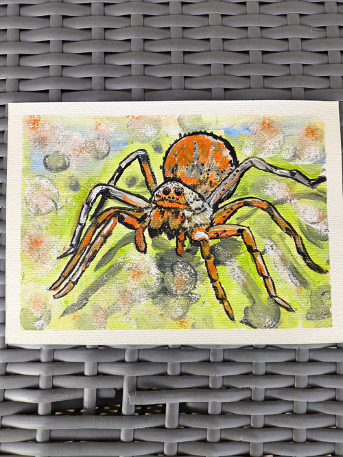 Tarantula — foto 4