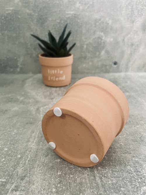 Hravý domov pro rostlinky — foto 4