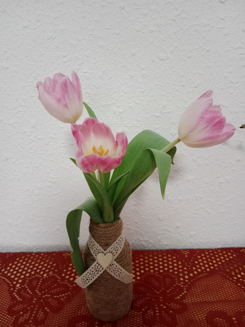 Vázička — foto 3