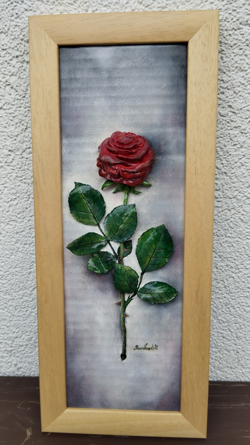 Růžička — foto 2