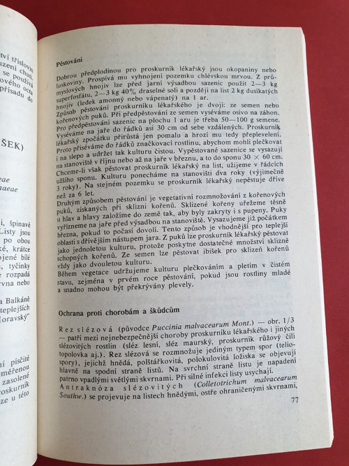 Léčivé rostliny I — foto 3