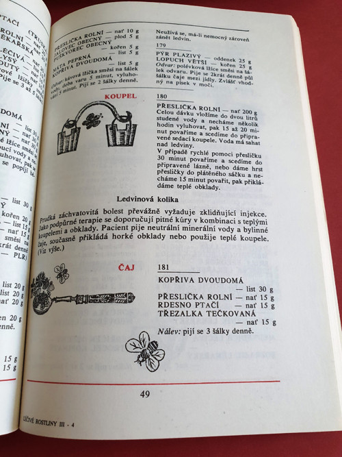 Léčivé rpstliny III — foto 3
