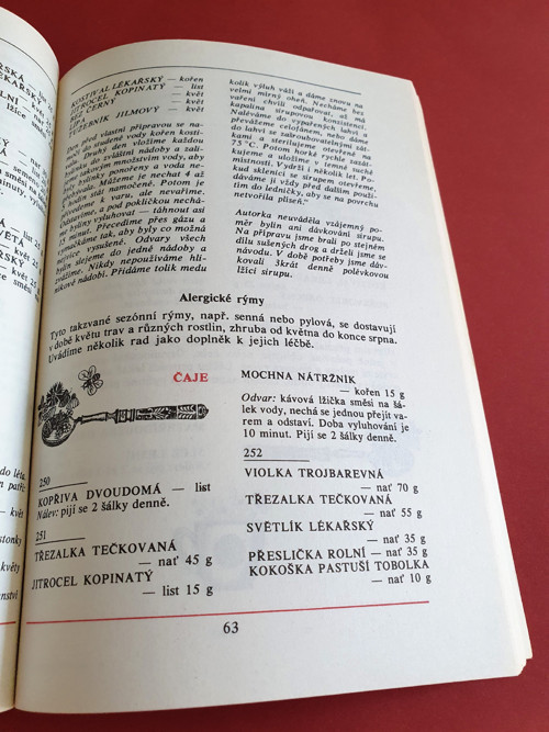 Léčivé rpstliny III — foto 2