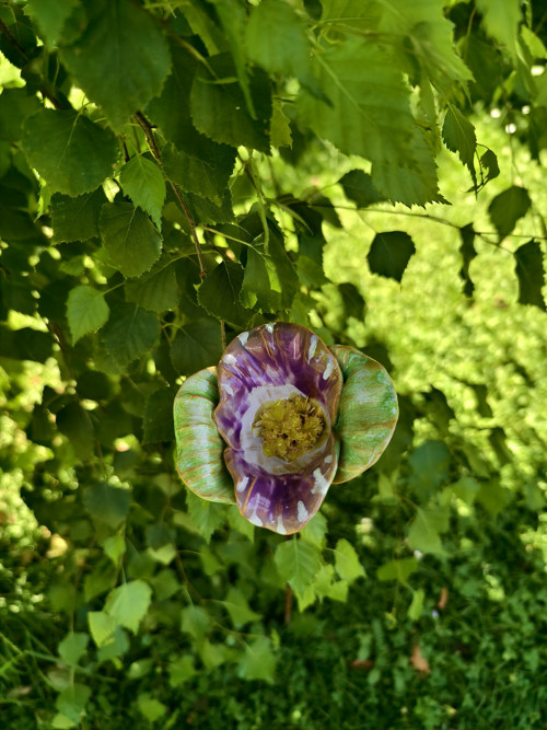 Fialovozelená Orchidej — foto 4
