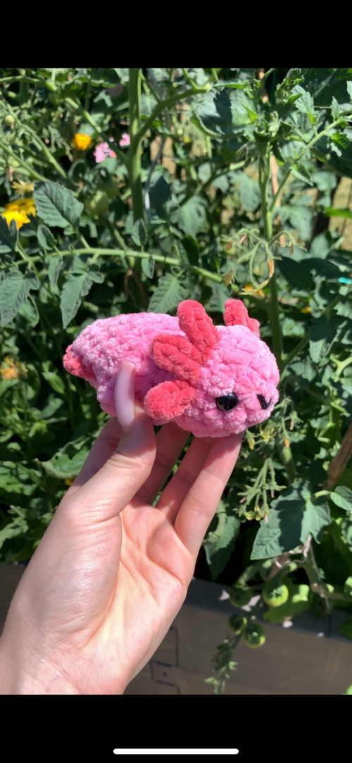 Háčkovaný axolotl — foto 2