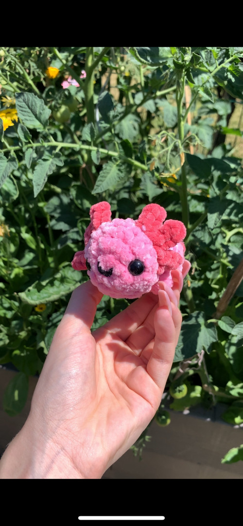 Háčkovaný axolotl — foto 3