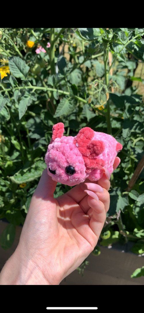 Háčkovaný axolotl — foto 4