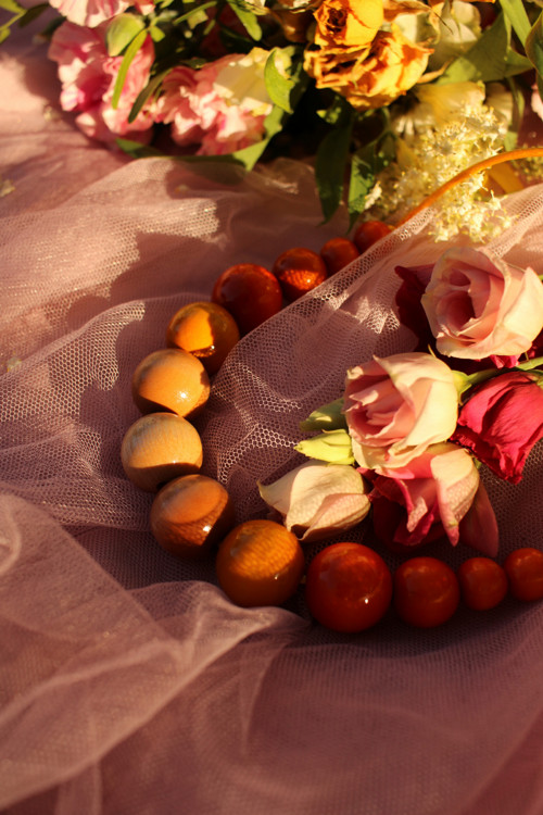 Sluneční polední — foto 4