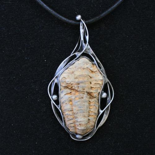 Z dávnověku (trilobit) — foto 4