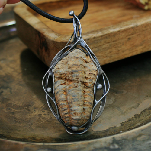 Z dávnověku (trilobit) — foto 3
