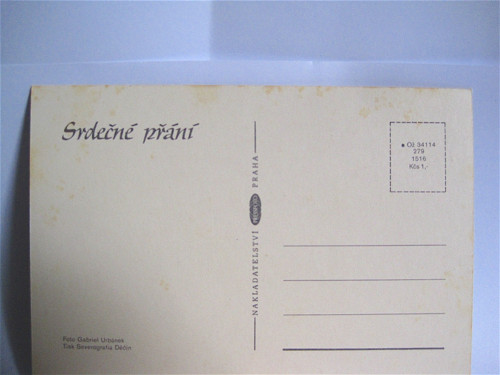 Vintage pohlednice - květiny — foto 3