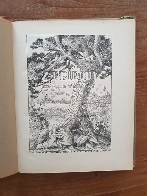 Z přírody — foto 3