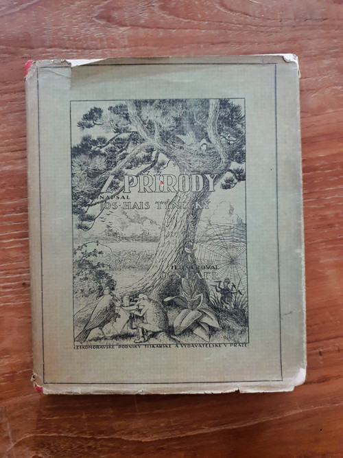 Z přírody — foto 2