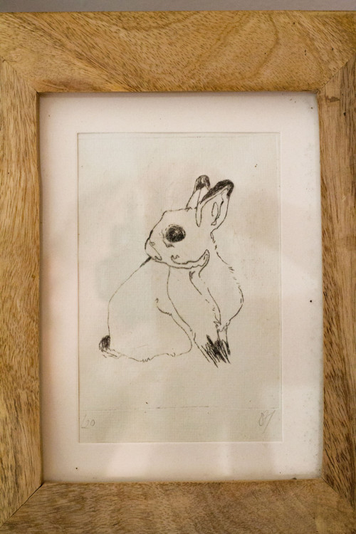 Králík - autorská grafika — foto 2