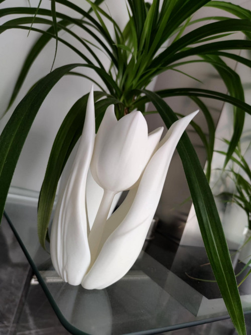 Tulipán, dekorace 20cm — foto 3