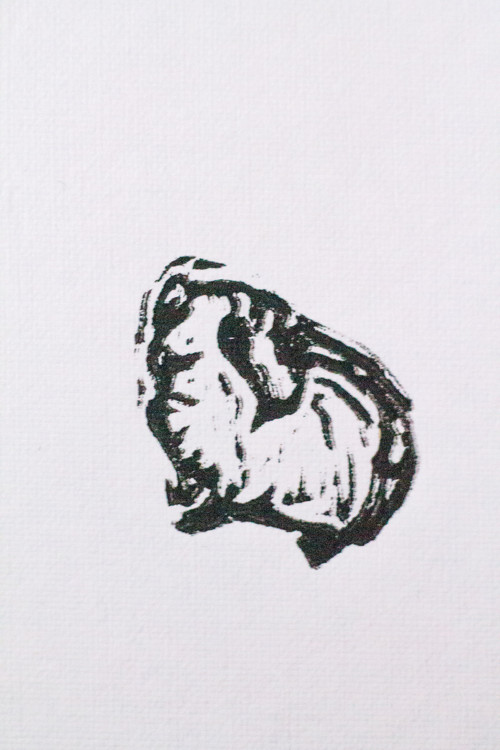 Morče - autorská grafika — foto 2
