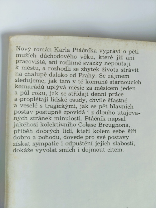 Fasáda - Karel Ptáčník — foto 2