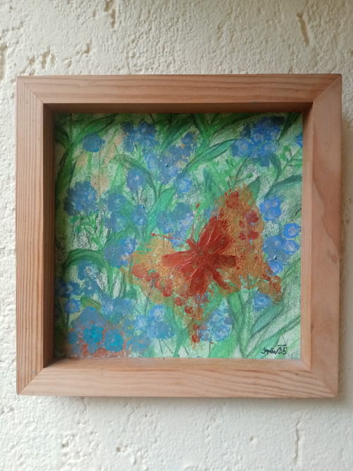 Motýl — foto 5