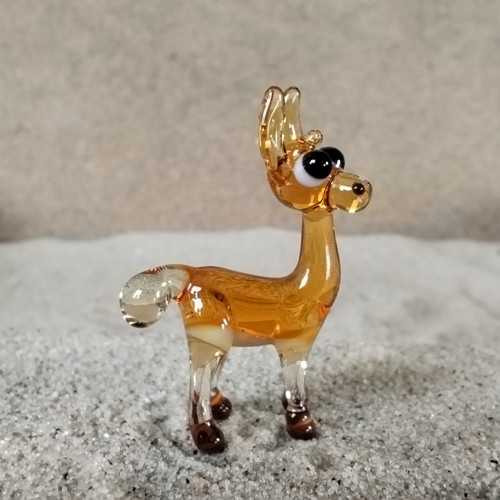 Lama — foto 4