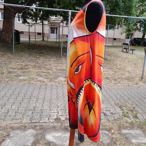 Slon — foto 5