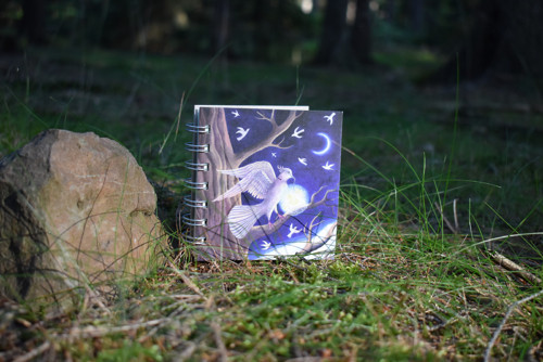 Notes střední Holubice — foto 2