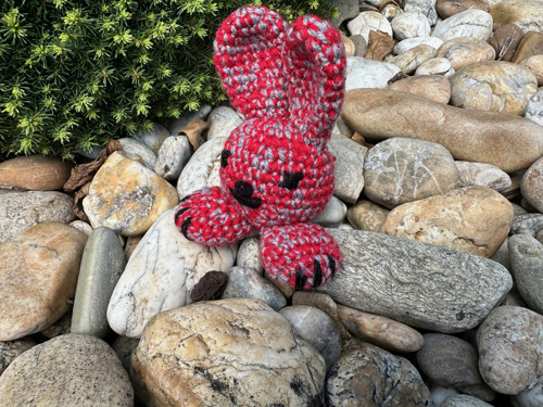 Králíček červený — foto 3