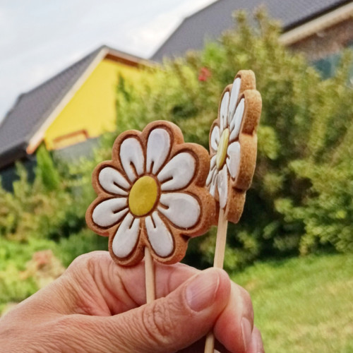 Kopretinový — foto 2