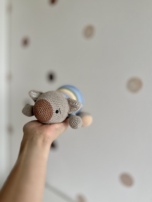 Koala Kokinka — foto 4