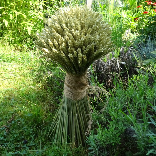 Kytice - Obilný snop — foto 2