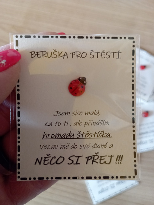 436 - Beruška pro štěstí — foto 3