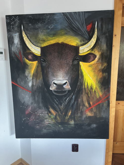 Energetický obraz — foto 3