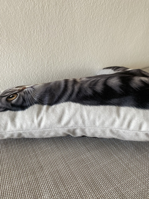 Polštář 3D - Kočka Whiskas — foto 2